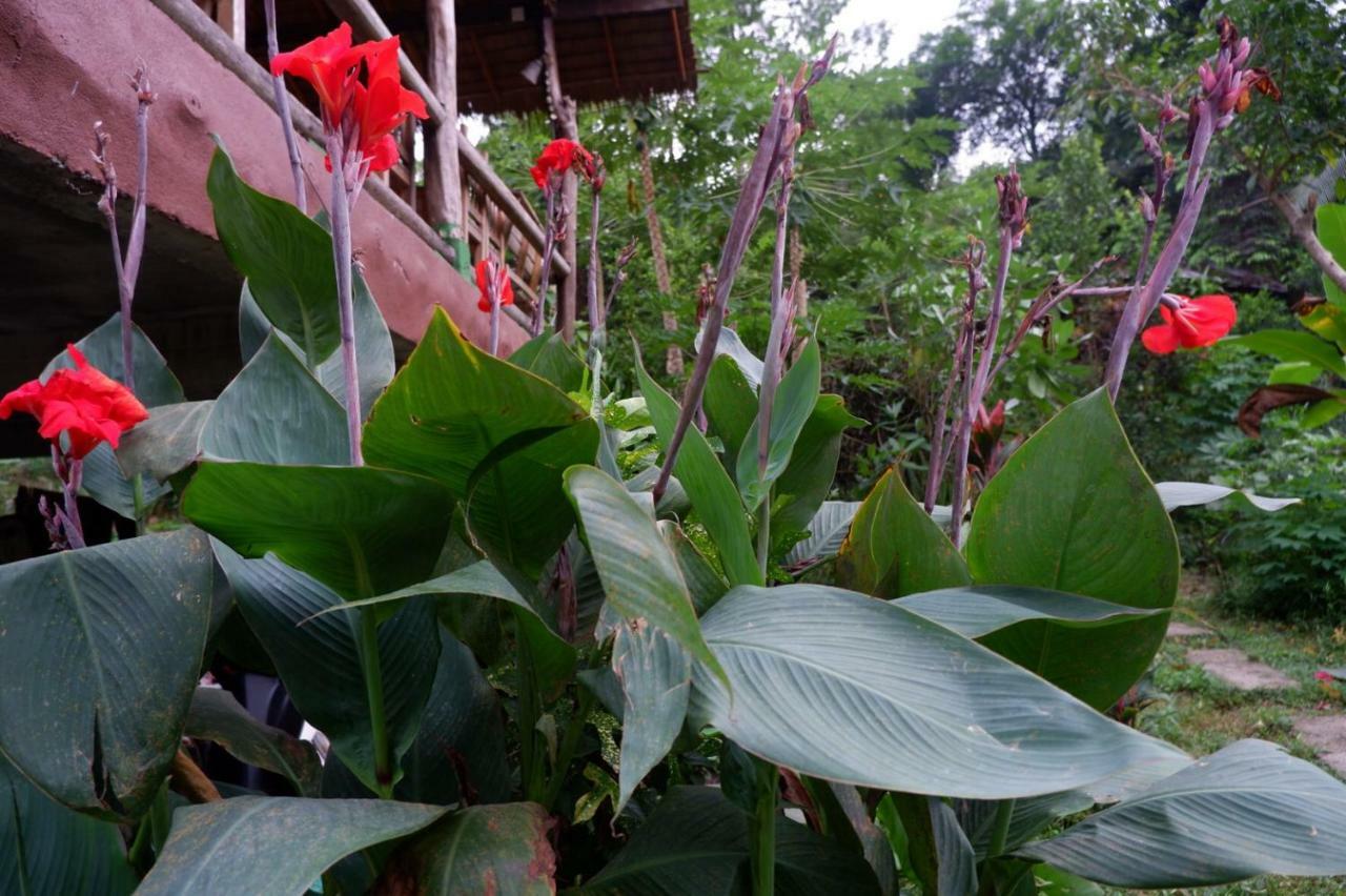 Hotel Phayam Garden View Koh Phayam Exteriér fotografie